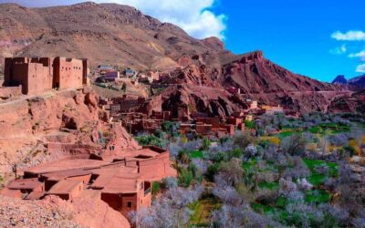 Sàhara Anbyi: Carnaval al Desert